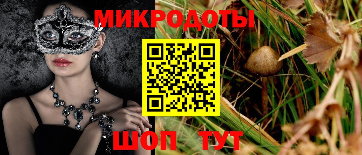 Галлюциногенные грибы Cubensis  Вход с VPN  Бузулук 