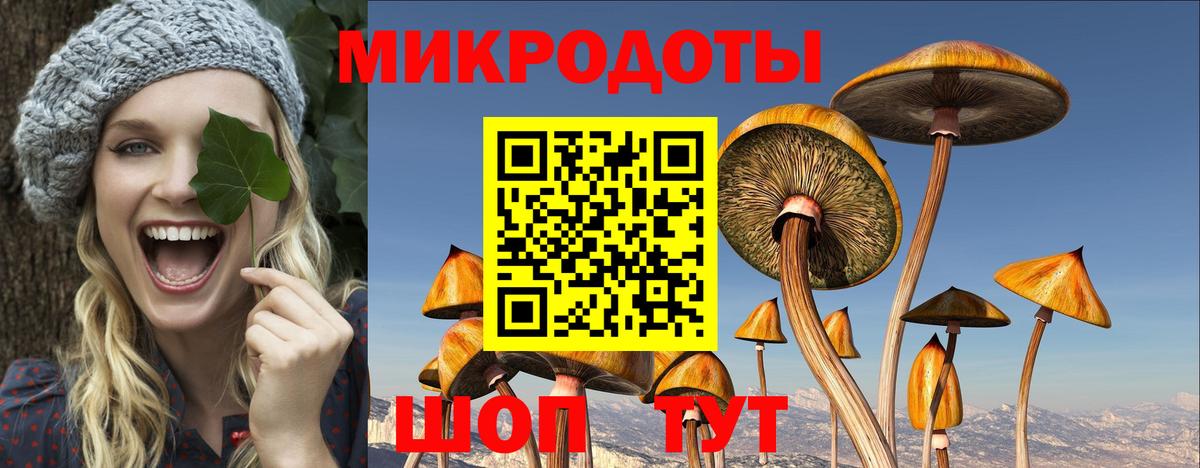 Псилоцибиновые грибы мицелий Бузулук